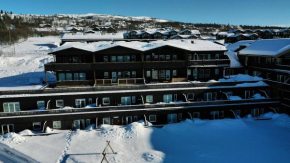 Ideal family retreat with 3 bedrooms Beitostølen